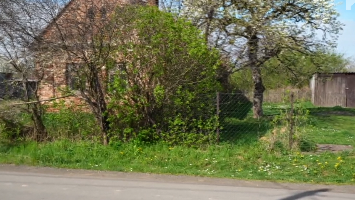 Kis híján halálra cincált egy kutya egy férfit Katafán - videó