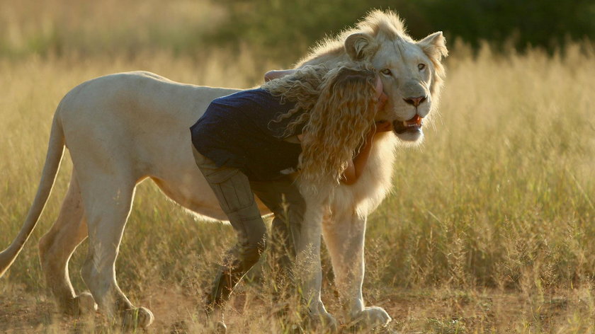 Kadr z filmu "Mia i biały lew"