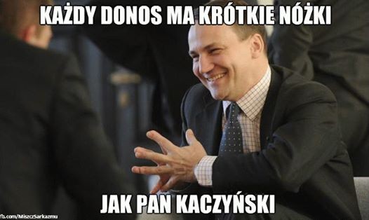 mem / Miszcz sarkazmu