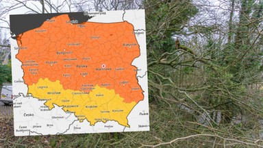 Cała Polska z alertami pogodowymi. Nadchodzą wichury, opady i burze