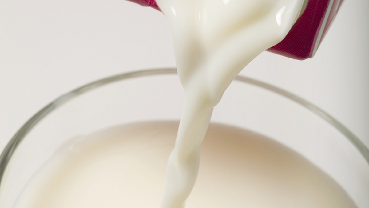 Strach przed skażonym mlekiem w Chinach. Tym razem jednak za sprawą nowozelandzkiego koncernu Fonterra, który odkrył w partii swoich produktów pałeczki jadu kiełbasianego. Mleko od Fonterry w Chinach trafiło m.in. do producentów żywności dla niemowląt.