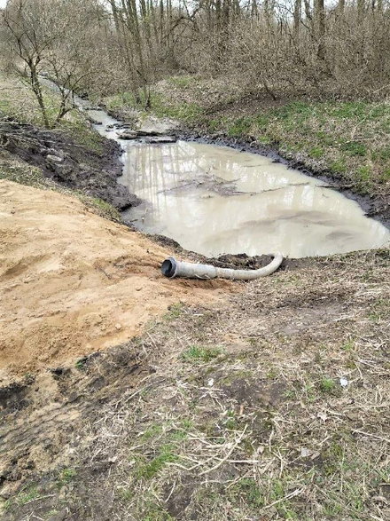 Rzeka Olechówka znów zanieczyszczona