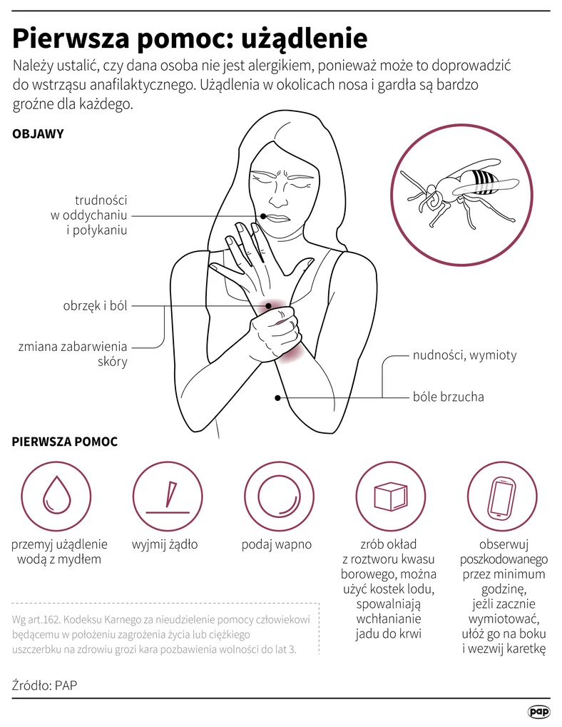 Pierwsza pomoc: użądlenie