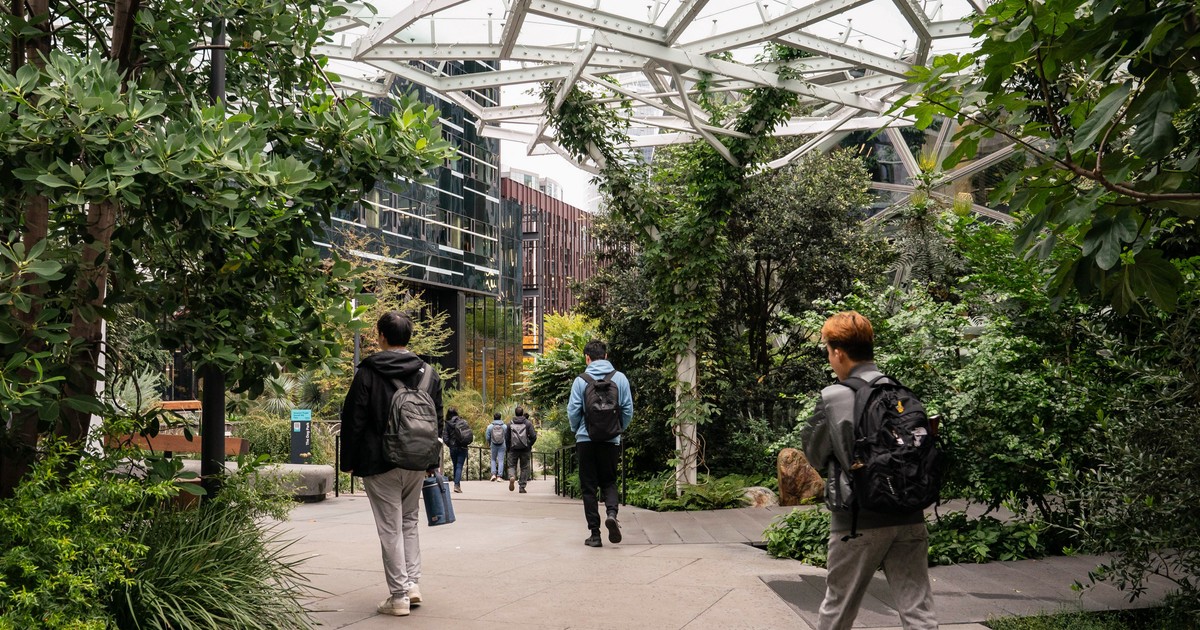 The new Amazon: How employees are navigating AI, RTO, and a shifting ...