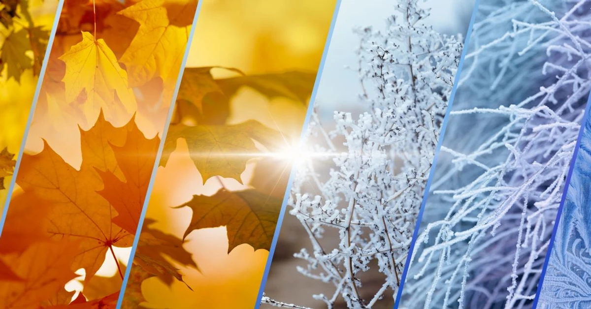 Pogodny, ale mroźny dzień. Prognoza pogody i poradnik ubioru dla uczniów na środę, 19 listopada