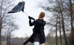 RCB: Ostrzeżenia o silnym wietrze dla 13 województw