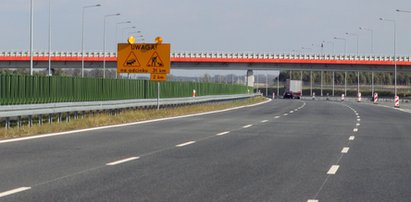 Zabrakło 30 metrów. Autostrada A2 nie łączy się z S2