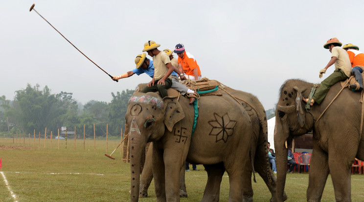 Dél-Nepálban rendezik meg minden évben az elefántpóló bajnokságot / Fotó: AFP