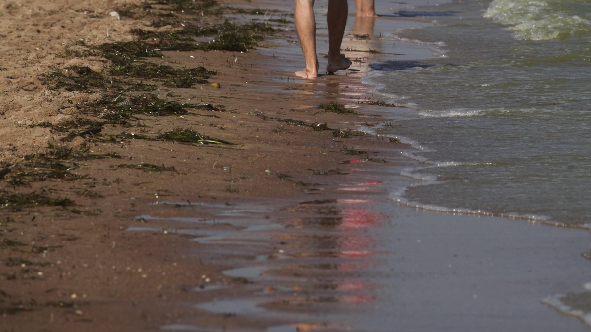 Zakaz kąpieli nad Bałtykiem. GIS zamknął kolejne plaże przez sinice. Eksperci ostrzegają