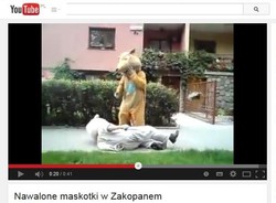 Pijane maskotki z Zakopanego. Wiewiórka i miś po ostrej imprezie [WIDEO]