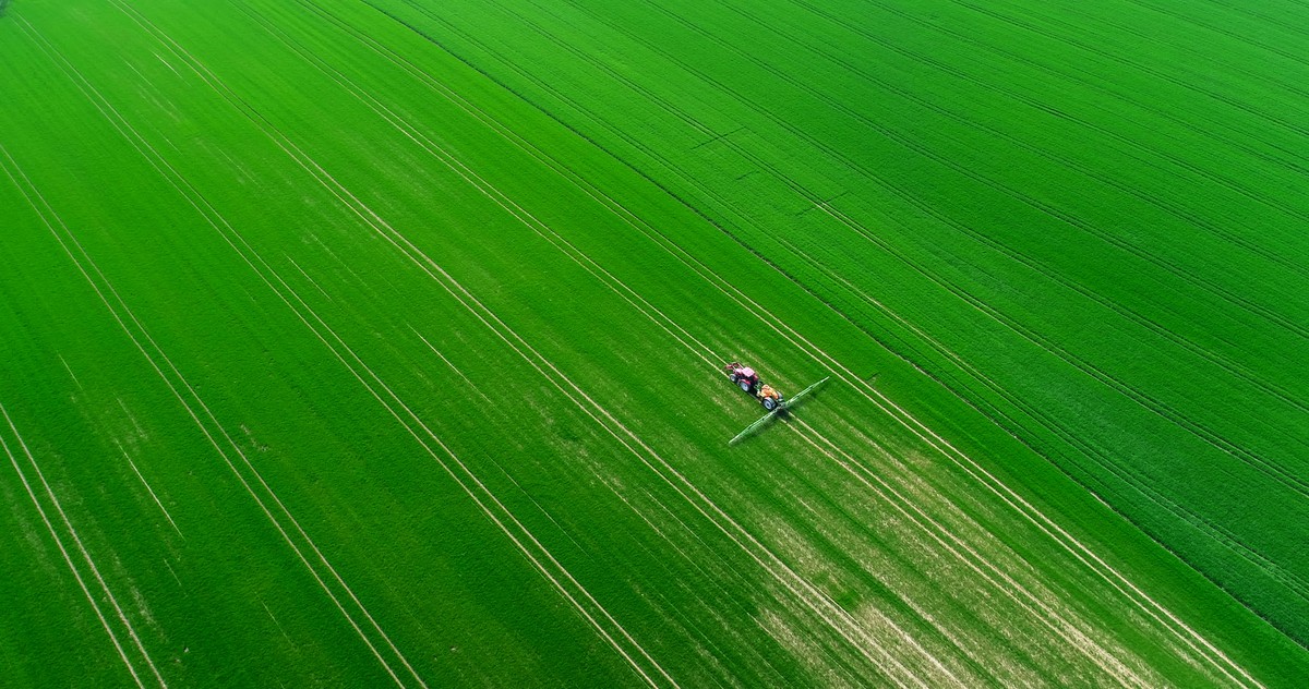 Kiedy koniec pasz z GMO? Na zakaz jeszcze poczekamy, Sejm podjął decyzję