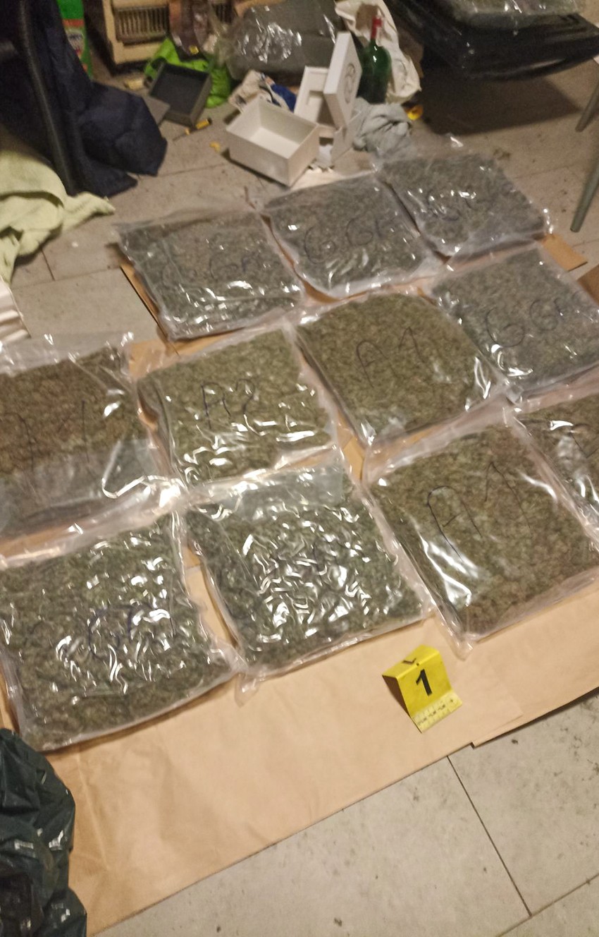 Zaplenjena marihuana