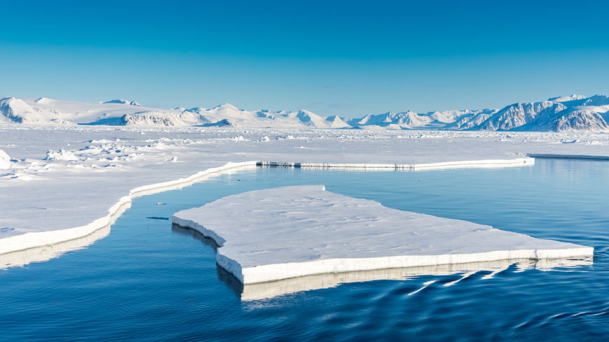 Szacuje się, że do 2050 r. cała powierzchnia lodu zniknie z Oceanu Arktycznego chociaż raz