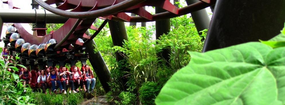 Thorpe Park –  położony w okolicy Londynu jest jednym z największych parków brytyjskich parków rozrywki. Wybudowany w 1979 roku oferuje dziś mnóstwo różnych atrakcji, w tym aż siedem ekstremalnych roller coasterów. Wstęp do parku kosztuje około 220 złotych, dla dzieci do 12. Roku życia cena jest około 50 złotych niższa.