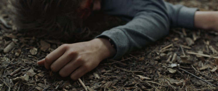 <strong>„Znajdźcie tę głupią sukę i wrzućcie ją do rzeki”, reż. Ben Brand</strong>
<br><br>
Historia oparta na faktach o wpływie internetu na zachowania nastolatków, zrealizowana z dbałością o szczegóły i konsekwentnie budująca atmosferę napięcia. Świetne portrety młodych dorosłych, tak bliskich, a tak odległych. Porażający seans.
<br><br>
OPIS
<br><br>
15-letni Remco razem z ojcem i 13-letnią siostrą Lizzy zajmują się nielegalnym handlem  szczeniakami. Pewnego dnia Remco filmuje siostrę, gdy ta wyrzuca żywego szczeniaka do rzeki i potem zamieszcza filmik w sieci. Nagranie bardzo szybko okrąża niemal cały świat. Rośnie fala oburzenia. Jej konsekwencje są nie do przewidzenia. Inspirowany prawdziwymi zdarzeniami z 2010 roku film nosi taki sam tytuł jak zamieszczony przez wściekłych internautów post nawołujący do znalezienia sprawczyni i zabicia jej.
<br><br>
PROJEKCJE
<br><br>
Multikino 4: poniedziałek, 16 paź 21:15<br><br>
Multikino 4: wtorek, 17 paź 13:45<br><br>
Multikino 4: środa, 18 paź 18:45<br><br>
Kinoteka 3: czwartek, 19 paź 13:30<br><br>