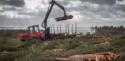 Bursztyn pod przekopem Mierzei Wiślanej. Wielkie rozczarowanie