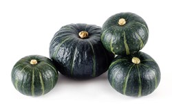 Nowe warzywo to połączenie cukinii i ogórka. Czy można je kupić już w Polsce?