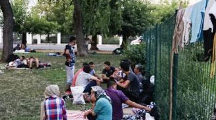 Egy rendőr magyarul próbálta elküldeni a migránsokat a II. János Pál pápa térről