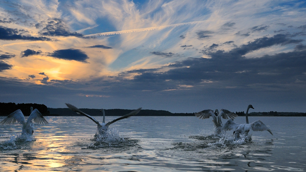 Warmia i Mazury. Gdzie odpocząć na łonie natury - parki krajobrazowe, rezerwaty, zwierzęta