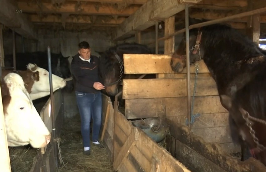 Porodica Bogdanović