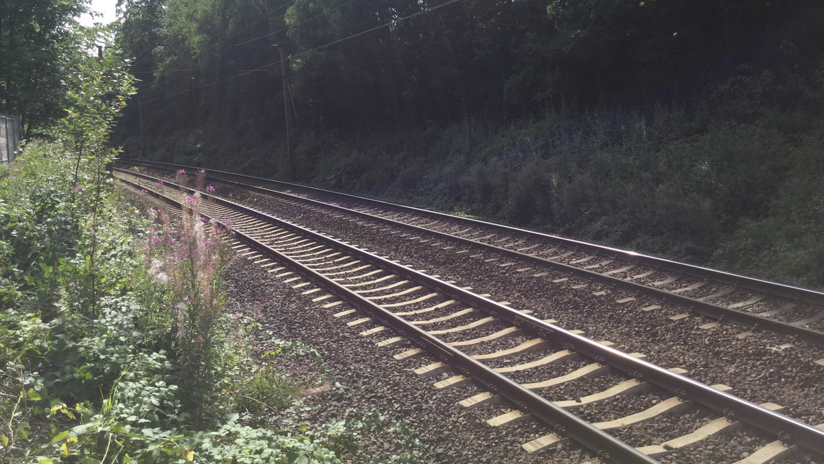 W czwartek rozpocznie się kolejna tura poszukiwań "złotego pociągu" – donosi RMF FM. Specjaliści wrócą na skarpę kolejową na 65. kilometrze trasy kolejowej z Wrocławia do Wałbrzycha.