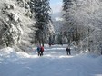 Galeria Polska - Magura Małastowska na zimę, obrazek 3