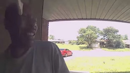 Durva: a lakása előtt harapott  arcon egy férfit egy kígyó – videó