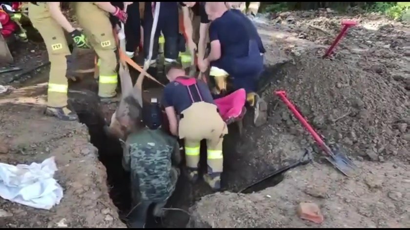 Wybrała się na jabłuszka i wpadła w tarapaty, na szczęście sztab ludzi łanię uratował