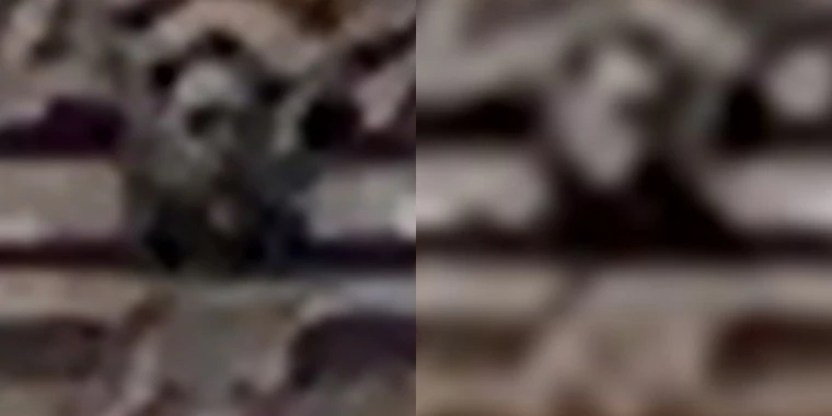 Wycinki w skali 1:1 ze zdjęć w maksymalnym ustawieniu zoomu cyfrowego tele 10x - po lewej ze zdjęcia 50 MP, a po prawej z interpolowanego obrazu 12 MP