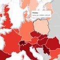 Polska z najtańszą energią w Europie. Wojna w Ukrainie to tylko jedna z przyczyn