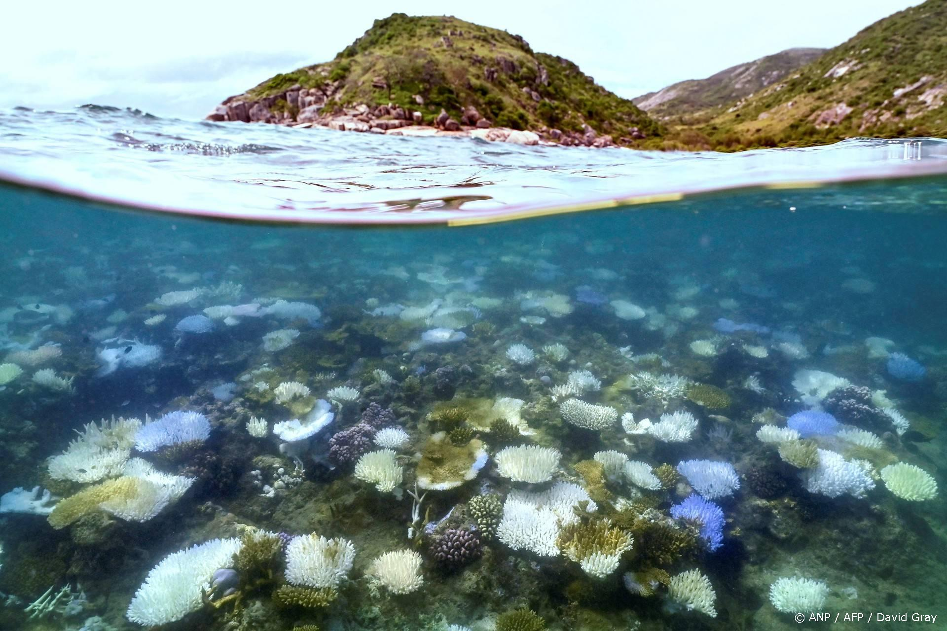 Great Barrier Reef ernstigste verbleking ooit door klimaat
