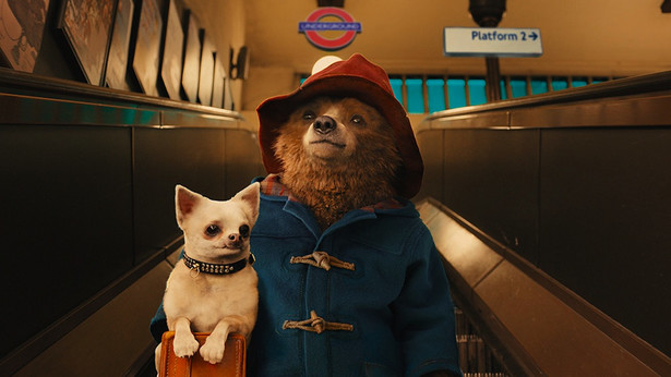 "Paddington": Miś w bardzo dużym kapeluszu