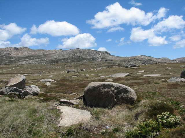 Galeria Australia - Kosciuszko National Park, obrazek 17