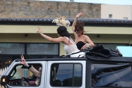 Svadba Vladana Savića