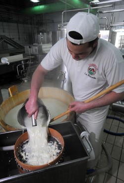 Protestów mleczarzy ciąg dalszy ...