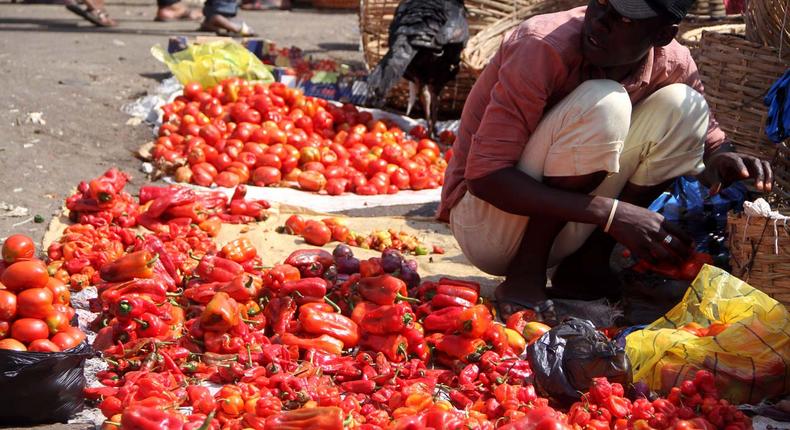Science says chilli Pepper (known as ata ijosi or sombo in Yoruba language) can reduce your risk of dying from heart attack and stroke. This long red pepper is used to prepare stews in Nigeria. (The Guardian)