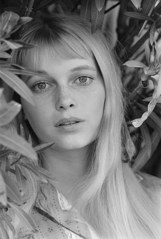 Mia Farrow w roku 1964