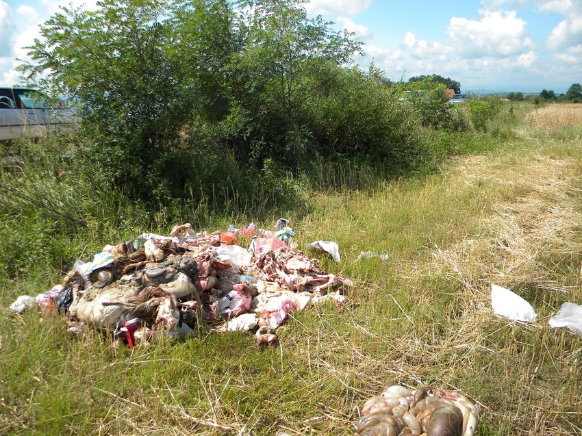 Otpad nema ko da ukloni