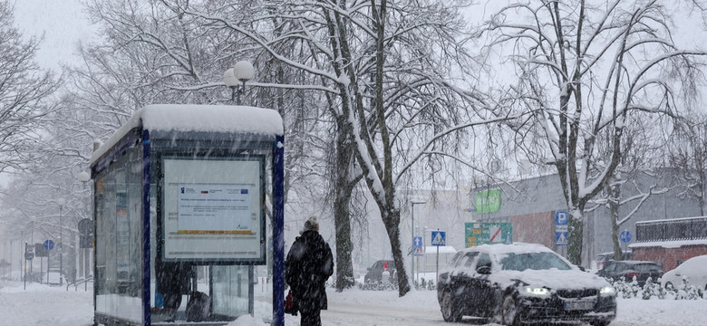 Wiosna odwołana. Nadciąga śnieg i mróz. PROGNOZA POGODY