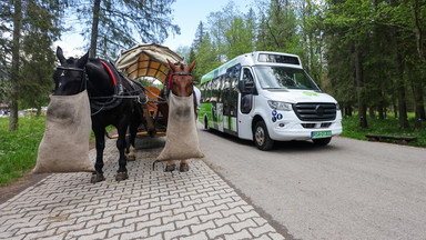 Konie nie kursowały nad Morskie Oko. Turyści szturmowali elektrycznego busa