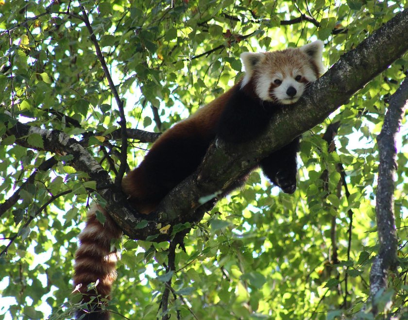 Zoo otwiera swoje bramy