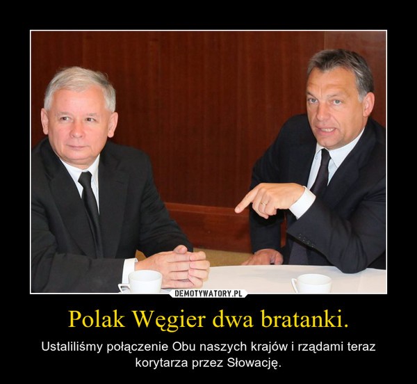 Memy po spotkaniu Orban-Kaczyński