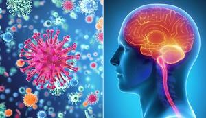 Excessive heat in Kano State may lead to meningitis cerebrum [Everyday Health]