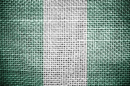 Kolejni kibice z Nigerii zatrzymani na przejściu w Gronowie