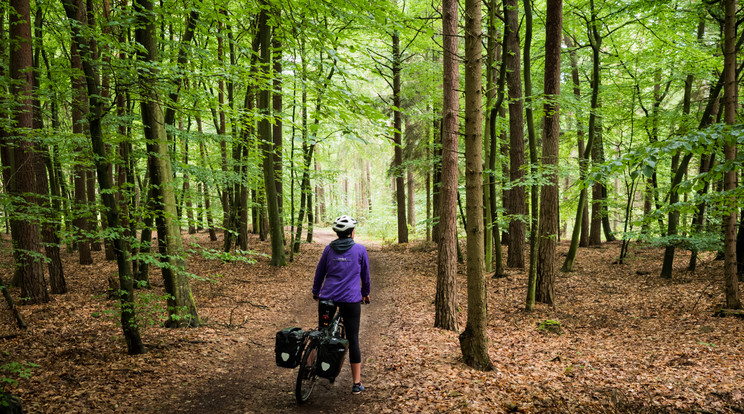  Bárhol az országban nyeregbe pattanhatunk, kiváló túrák vannak. / Fotó: Shutterstock