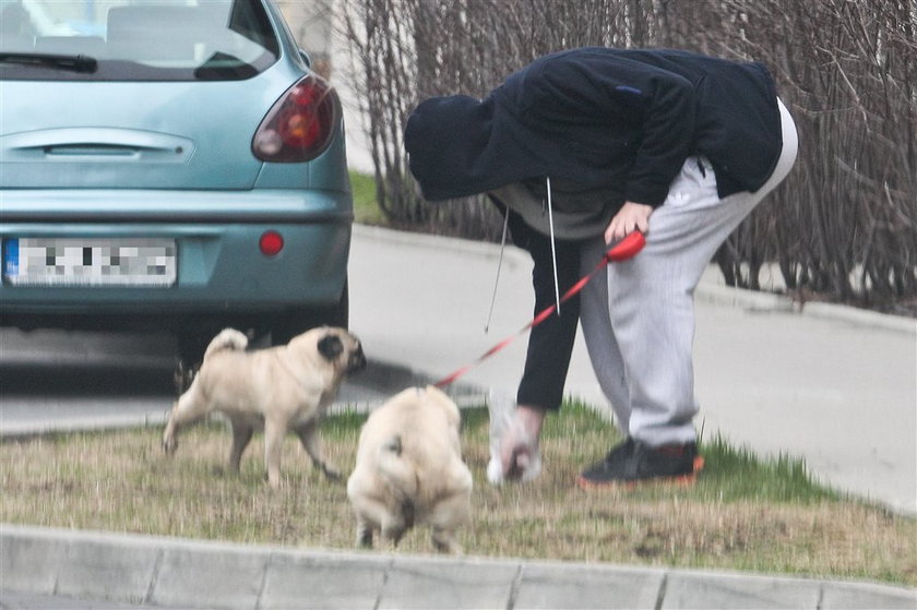 Polski aktor świeci przykładem i sprząta po psach. FOTO