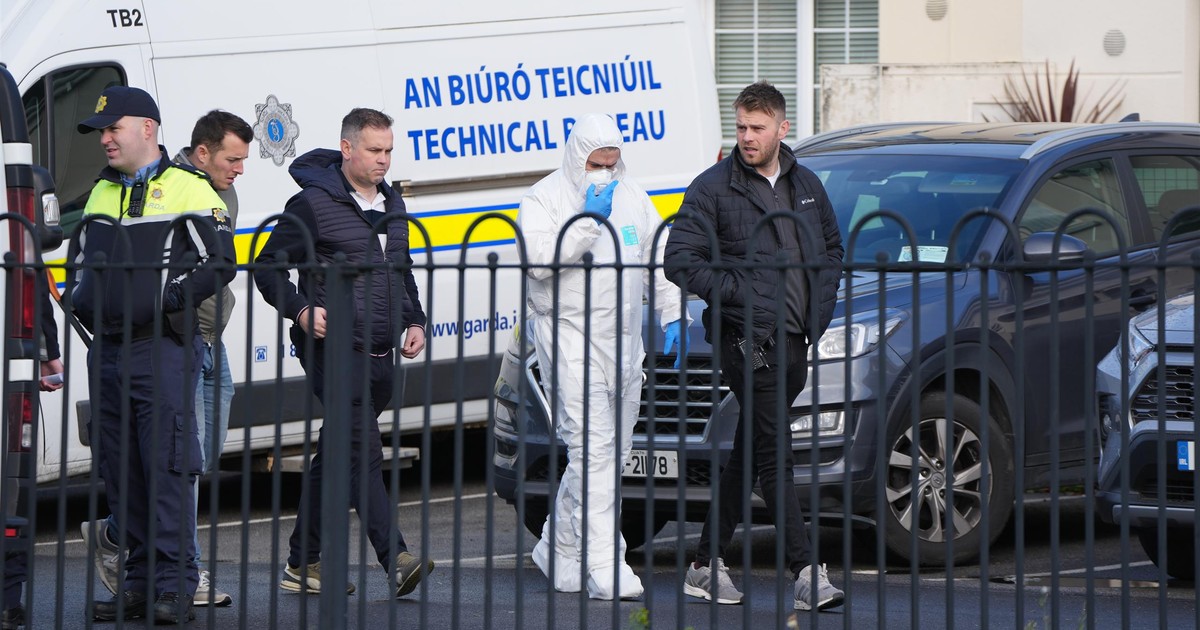 Nieludzki krzyk przeszył okolicę. Tragedia polskiej rodziny w Irlandii