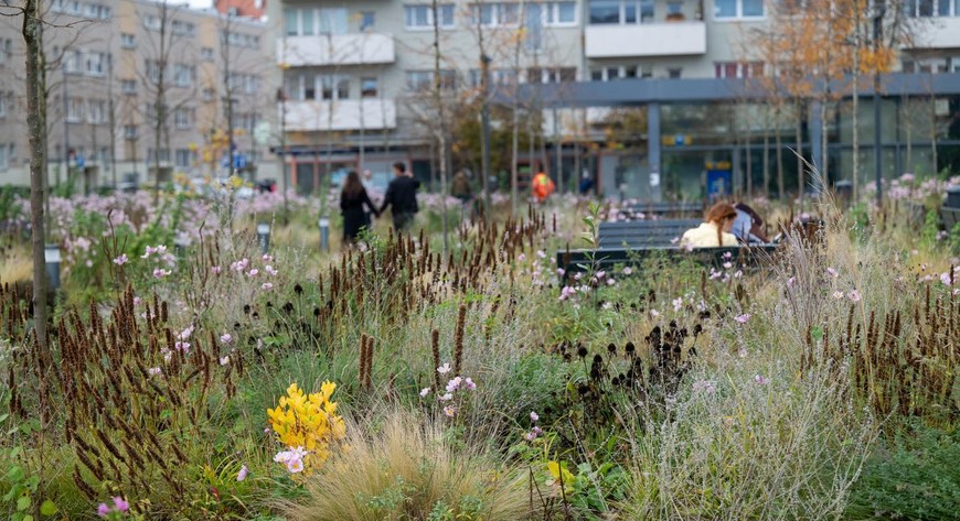 Plac Nowy Targ po metamorfozie to zielona i przyjazna przestrzeń