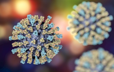 Calicivírus: kis adagban is fertőző, de így megelőzhetjük