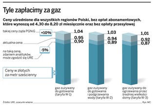 Jeśli ceny ropy spadną, gaz może potanieć o 5–10 proc.